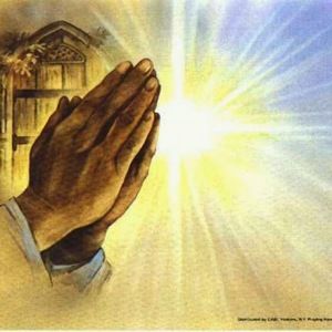 Meet your Posher, Wendy